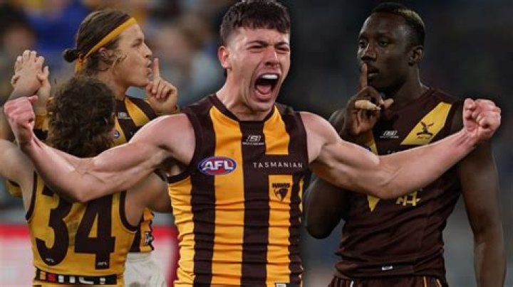 
Connor Macdonald Parents And Career Details- Meet The Medium Forward For Hawthorn Football Club 