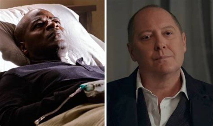 
Explained: Why did Amir Arison leave The Blacklist? 