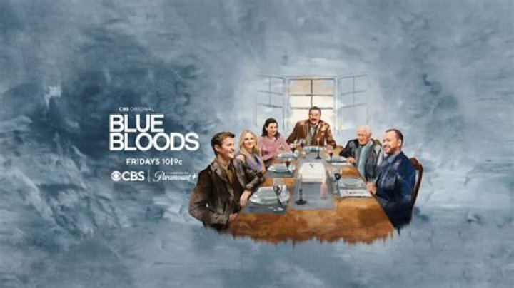Is Eddie From Blue Bloods Pregnant In Real Life? Why Is She Leaving?