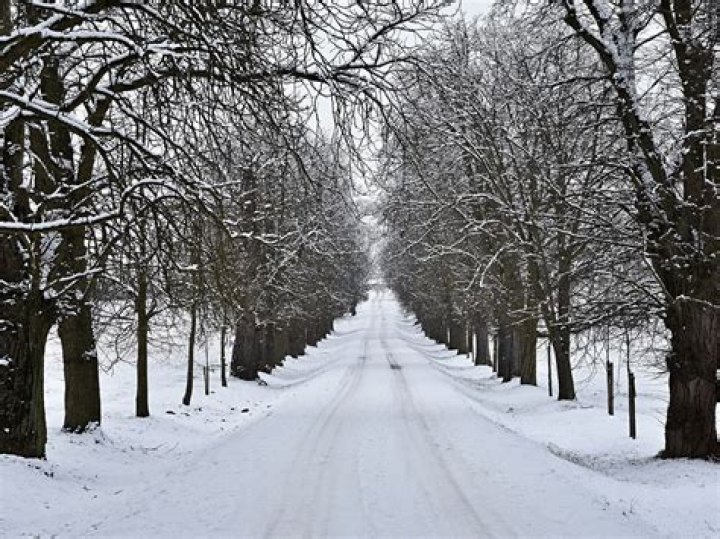 
J&K nomads begin moving towards plains ahead of winter 