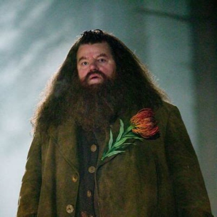 
Robbie Coltrane An Iconic Actor Passed Away At The Age Of 72 