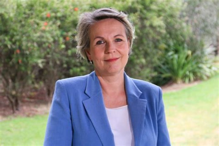 
Tanya Plibersek Height, Weight, Net Worth, Age, Birthday, Wikipedia, Who, Nationality, Biography 