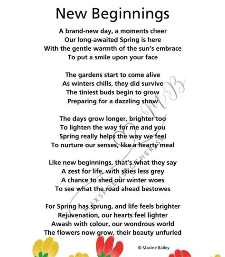 
The Bear ending explained: Time for new beginnings 