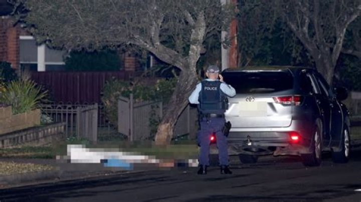 
Who Was Lametta Fadlallah? Deadly Shooting Video Explained And Ex Girlfriend Of Helal Safi Today 