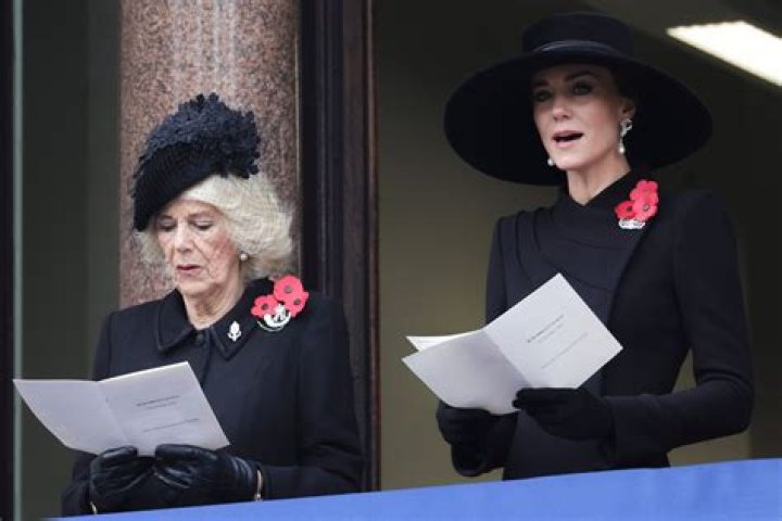 
Why Are Members of the British Royal Family All Wearing Poppy Pins This Month? 